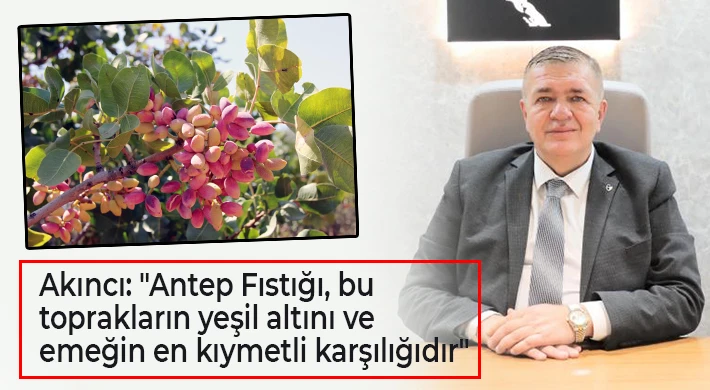 Akıncı: Antep Fıstığı, bu toprakların yeşil altını ve emeğin en kıymetli karşılığıdır