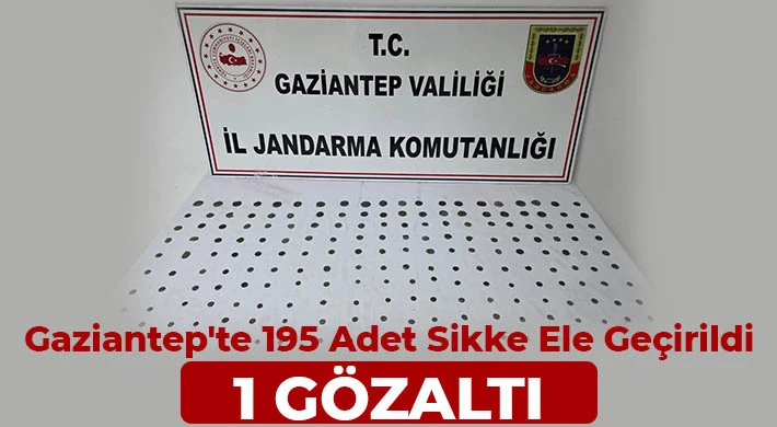 Gaziantep'te 195 adet sikke ele geçirildi: 1 gözaltı