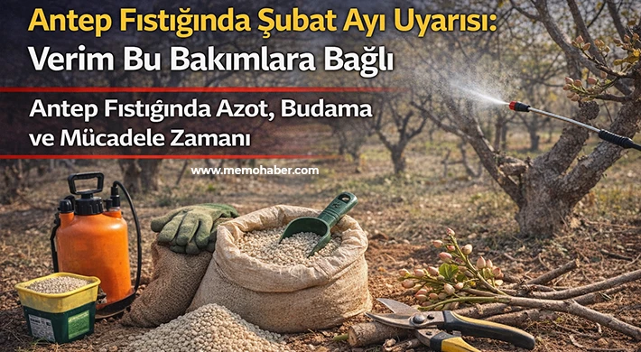 Gaziantep’te Antep Fıstığı Üreticisine Şubat Ayı Rehberi
