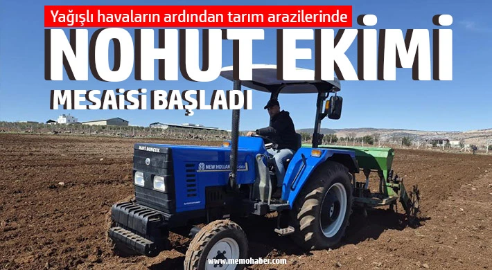 Gaziantep'te nohut ekimi başladı