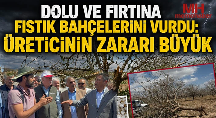 Dolu ve Fırtına Fıstık Bahçelerini Vurdu: Üreticinin Zararı Büyük