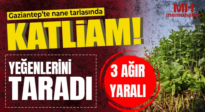 Gaziantep'te nane tarlasında katliam: Yeğenlerini taradı