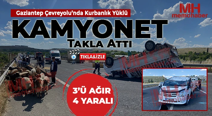 Lastiği Patlayan Koyun Yüklü Transit Dehşet Saçtı! Can Pazarı Yaşandı