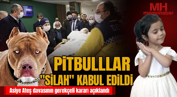 Asiye Ateş davasının gerekçeli kararı açıklandı