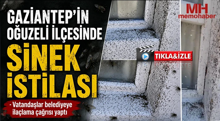 Gaziantep’in Oğuzeli ilçesinde sinek istilası