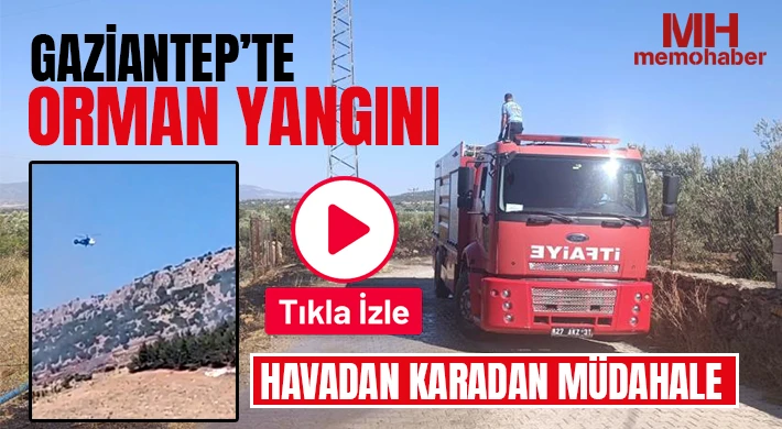 Gaziantep’te orman yangını: Havadan karadan müdahale