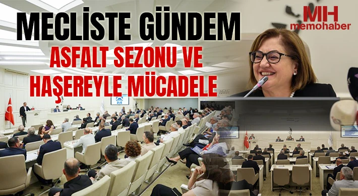 Mecliste gündem asfalt sezonu ve haşereyle mücadele