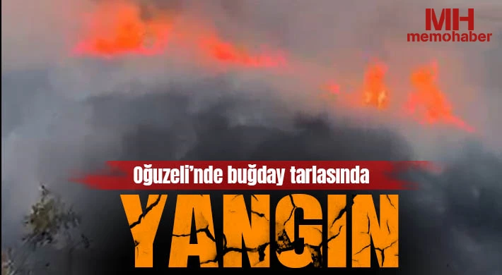 Oğuzeli’nde buğday tarlasında yangın