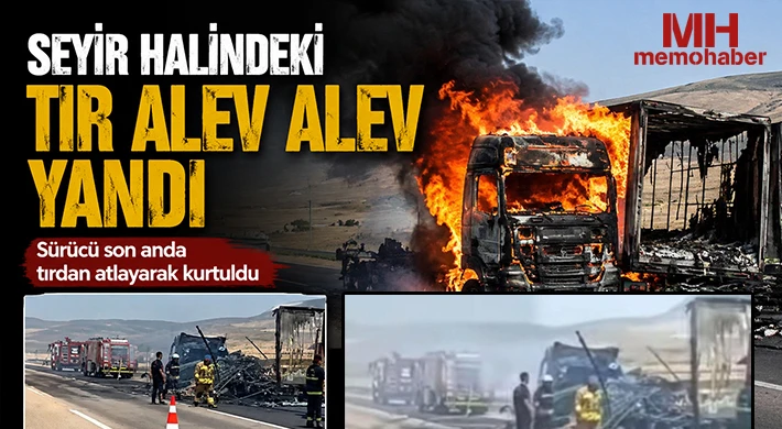 Seyir halindeki tır alev alev yandı