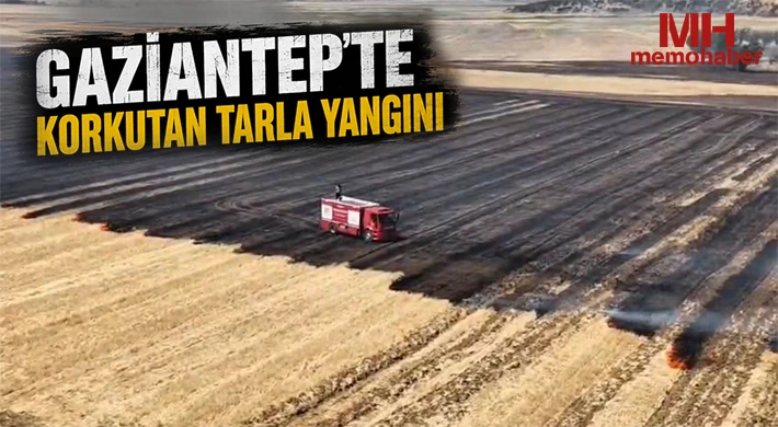 Gaziantep’te korkutan tarla yangını