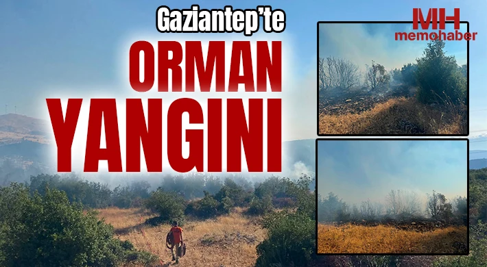 Gaziantep'te Orman Yangını: Ekipler Seferber Oldu