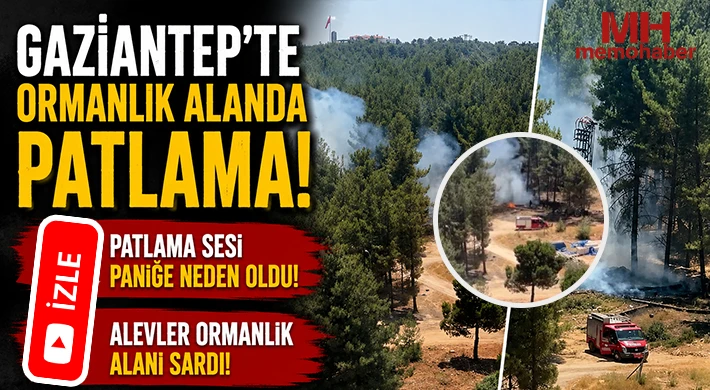 Gaziantep'te Ormanlık Alanda Patlama!