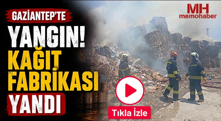 Gaziantep'te yangın: Kağıt fabrikası yandı