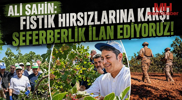 Ali Şahin: “Fıstık Hırsızlarına Karşı Seferberlik İlan Ediyoruz”