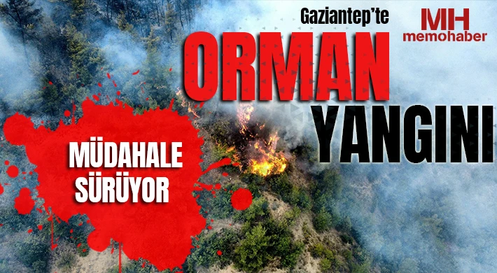 Gaziantep’te orman yangını: Müdahale sürüyor