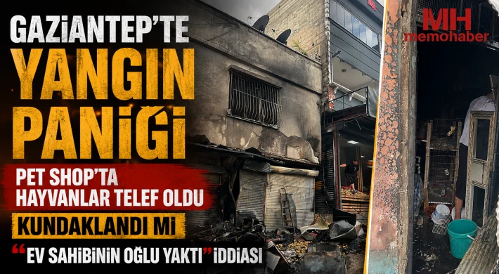 Gaziantep’te yangın paniği: Pet shop’ta hayvanlar telef oldu