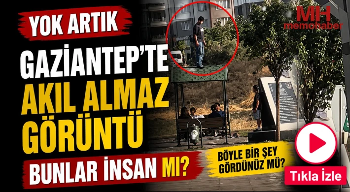 Yok artık! Gaziantep'te akıl almaz görüntü