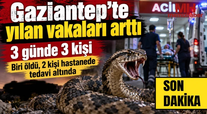 Gaziantep'te yılan dehşeti! 1 kişi öldü, 2 kişi hastanede