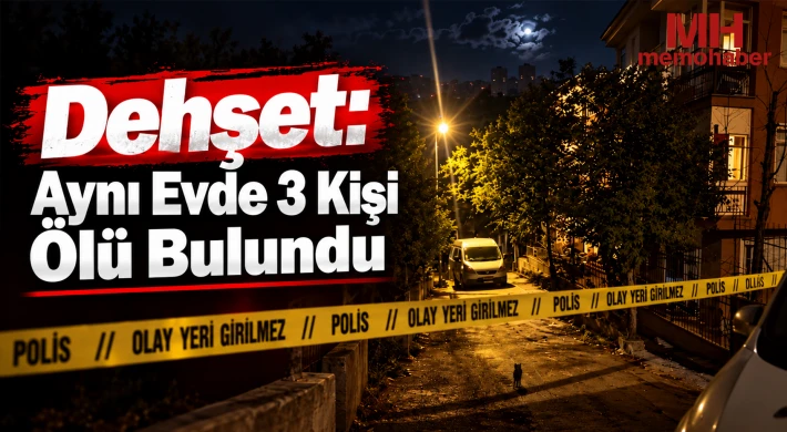 Kanlı Gece: 3 Erkek Evde Ölü Bulundu