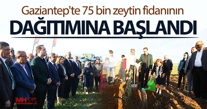 30 bin zeytin fidanı Nurdağı'nda toprak ile buluşuyor