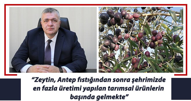 Akıncı: Zeytinde markalaşma ve pazarlama önem taşıyor