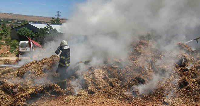 Anız yakmak tehlikeli ve yasaktır
