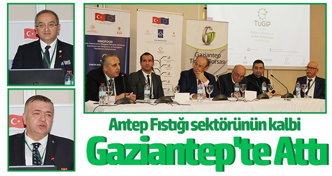 Antep Fıstığı sektörünün kalbi Gaziantep'te attı