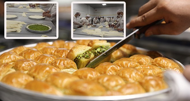 Antepfıstığı festivali başlıyor