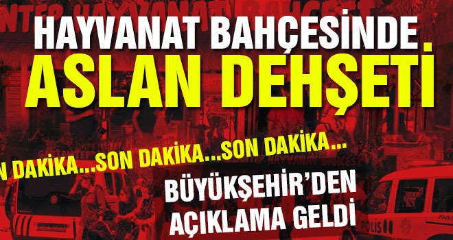 Aslan saldırısıyla ilgili Büyükşehirden açıklama