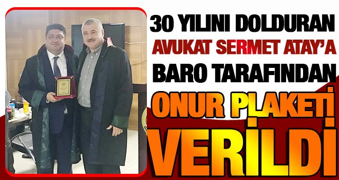 Av. Sermet Atay'a Baro tarafından Onur Plaketi verildi