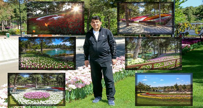 Baharın Tüm Renkleri Dülük Tabiat Parkı’nda