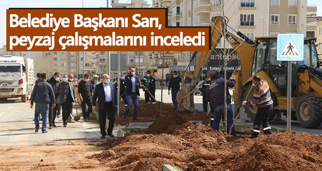Belediye Başkanı Sarı, peyzaj çalışmalarını inceledi