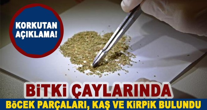 Bitki çaylarında korkutan laboratuvar sonuçları
