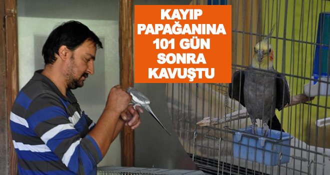 Bozkurt, kayıp papağanına 101 gün sonra kavuştu