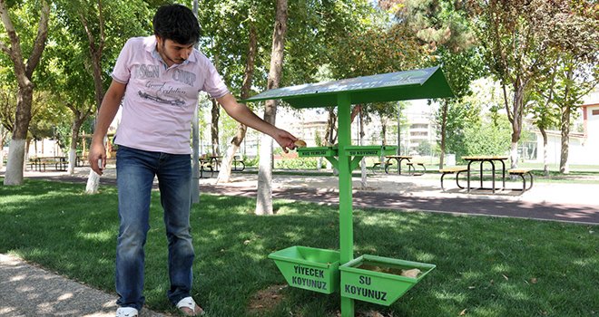 Bütün Canlılara Yer Var