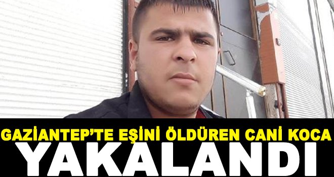 Cani koca terastan kaçmaya çalışırken yakalandı