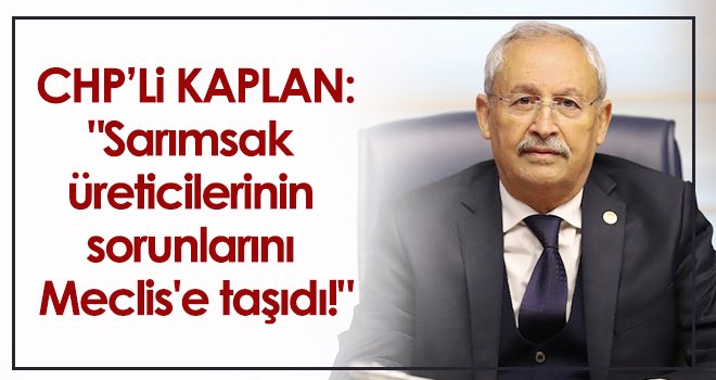 CHP'li Kaplan: Sarımsak üreticilerinin sorunlarını Meclis'e taşıdı!