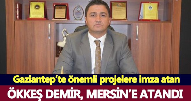 Demir Mersin’e atandı