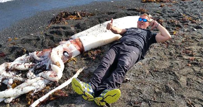 Dev mürekkep balığı kıyıya vurdu