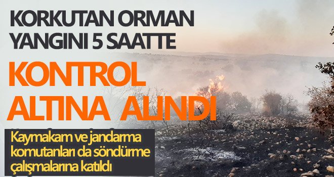 Ekipler hızla yayılan yangına onlarca farklı noktadan müdahale etti