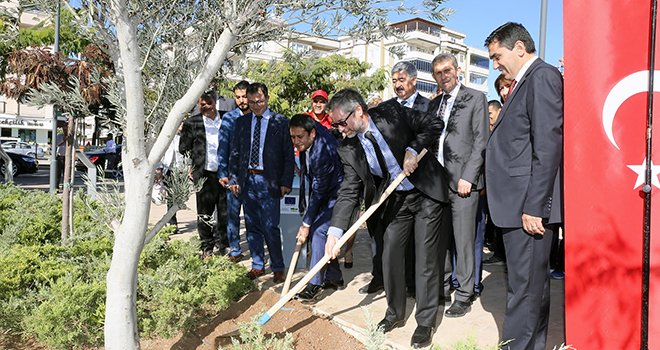 Ekolojik binanın bahçesine zeytin ağacı dikildi