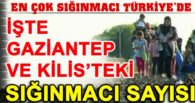 En çok sığınmacı kabul eden ülkeler arasında ilk sıradayız