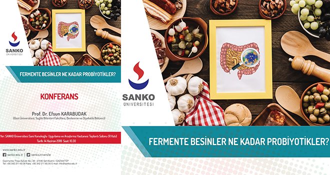 Fermente Besinler Ne Kadar Probiyotikler?