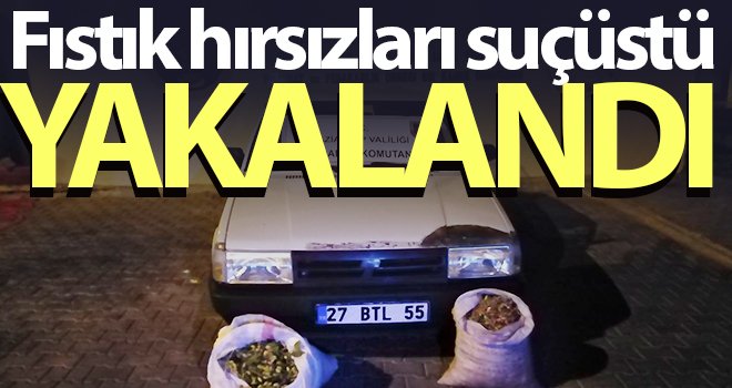 Fıstık hırsızları suçüstü yakalandı