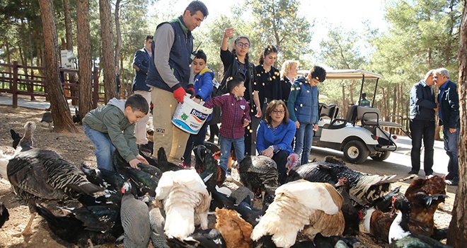 Gaziantep Hayvanat Bahçesi'nde bir günde 90 bin ziyaretçi