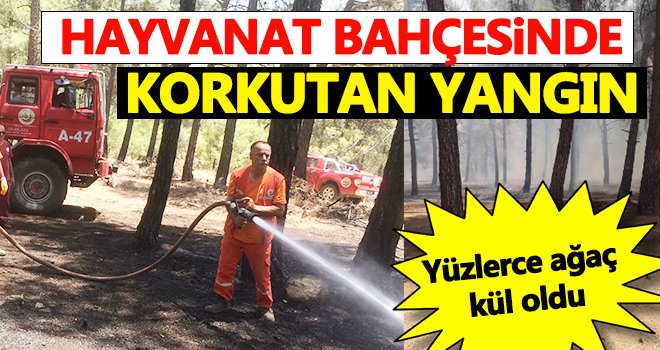 Gaziantep Hayvanat Bahçesinde korkutan yangın!
