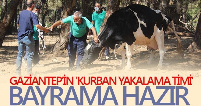 Gaziantep’in 'kurban yakalama timi' bayrama hazır