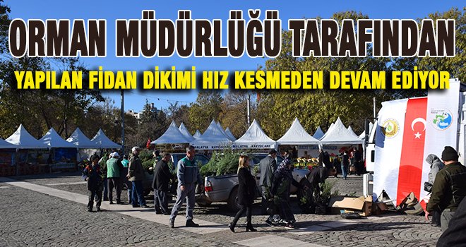 Gaziantepin Kurtuluşu için ücretsiz fidan dağıtımı