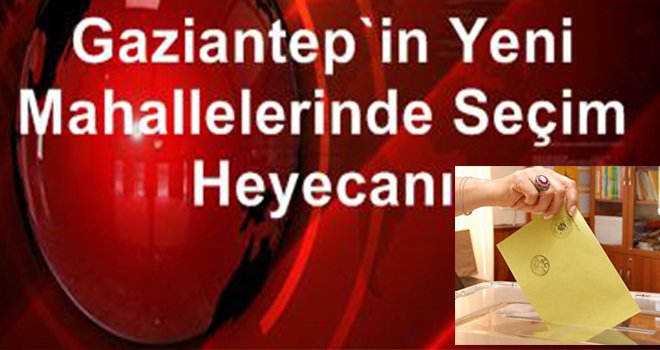 Gaziantep'in seçim heyecanı! 5 mahallede seçim yapılacak.