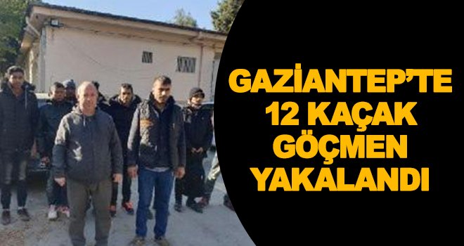 Gaziantep'te 12 kaçak göçmen yakalandı!
